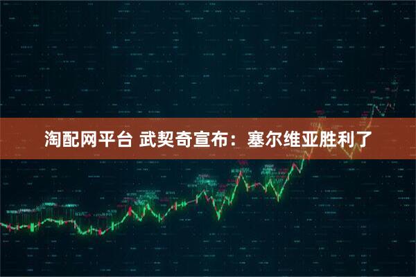 淘配网平台 武契奇宣布：塞尔维亚胜利了