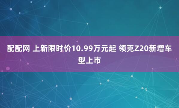 配配网 上新限时价10.99万元起 领克Z20新增车型上市