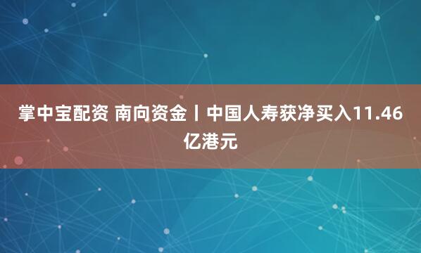 掌中宝配资 南向资金丨中国人寿获净买入11.46亿港元