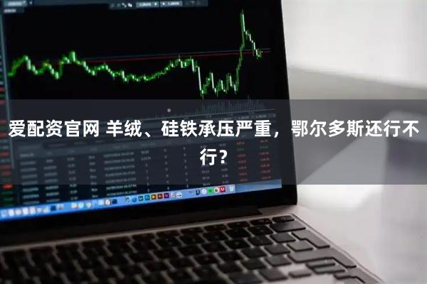 爱配资官网 羊绒、硅铁承压严重，鄂尔多斯还行不行？