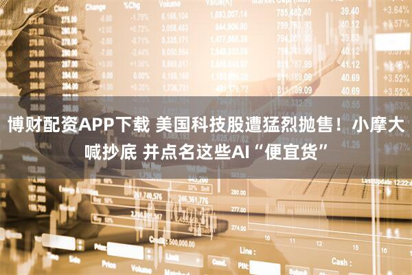 博财配资APP下载 美国科技股遭猛烈抛售！小摩大喊抄底 并点名这些AI“便宜货”