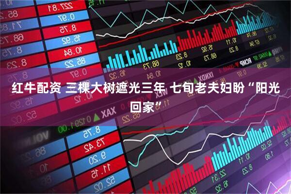 红牛配资 三棵大树遮光三年 七旬老夫妇盼“阳光回家”